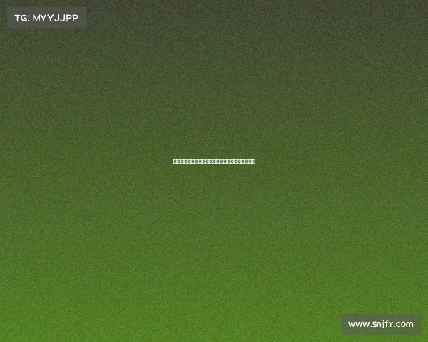 足球球员转会市场现状与未来发展趋势综合分析报告