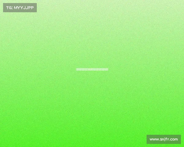 足球转会市场风险评估体系构建与应对策略分析